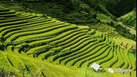 暂无头像