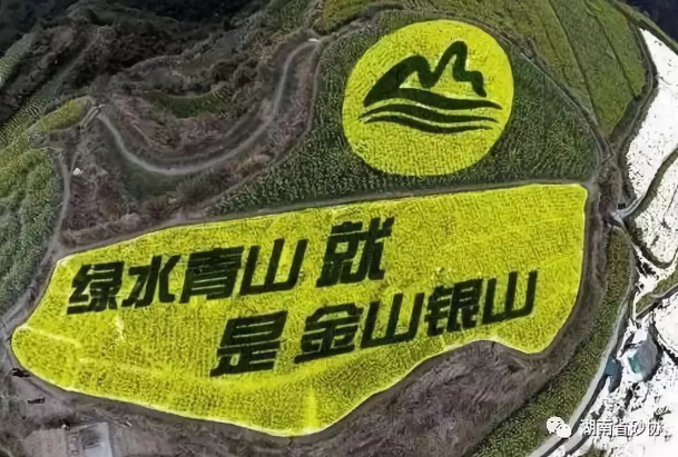 暂无头像